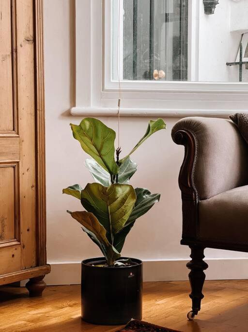 Stunning Victorian Mansion Apartment - Hosted By Agf Property - Free Parking Upon Request Brighton Exteriör bild